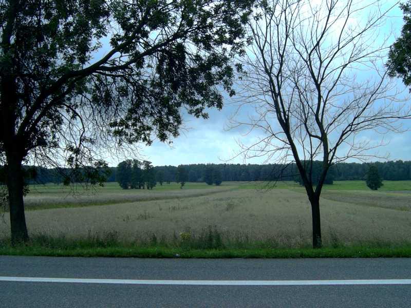 Polish countryside